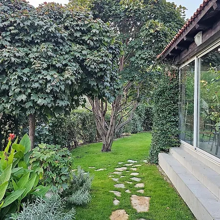 Cozy In With Wifi * Klis